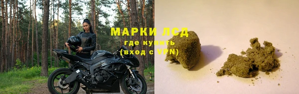 ПСИЛОЦИБИНОВЫЕ ГРИБЫ Балабаново
