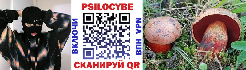 Псилоцибиновые грибы MAGIC MUSHROOMS  гидра ССЫЛКА  Поворино  мориарти состав  даркнет сайт 